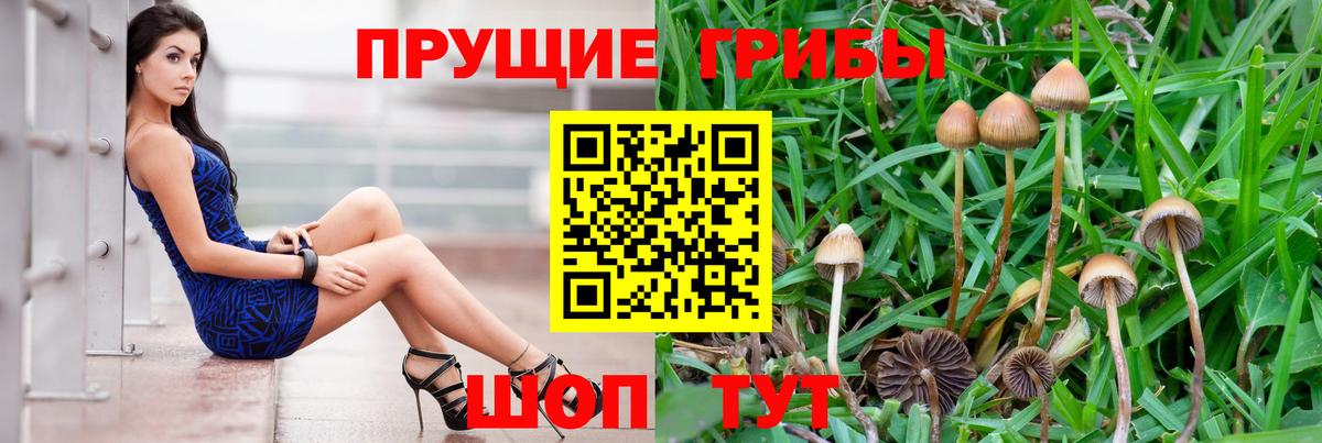 Галлюциногенные грибы ЛСД  Вход с VPN  как найти   Павловский Посад 